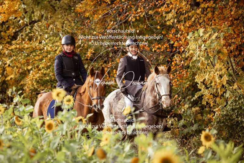 Schleppjagd_Harburg-857