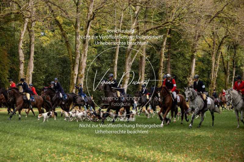 Herrenchiemsee-1034