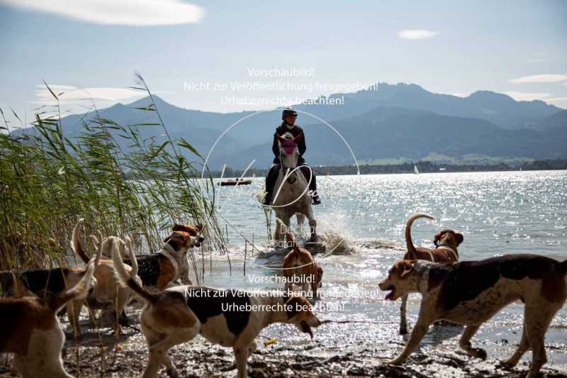 Herrenchiemsee-122