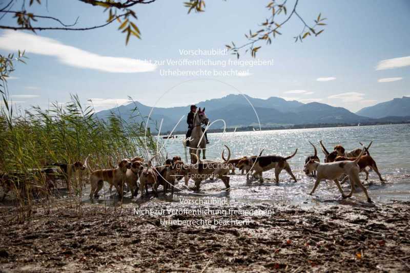 Herrenchiemsee-127-2