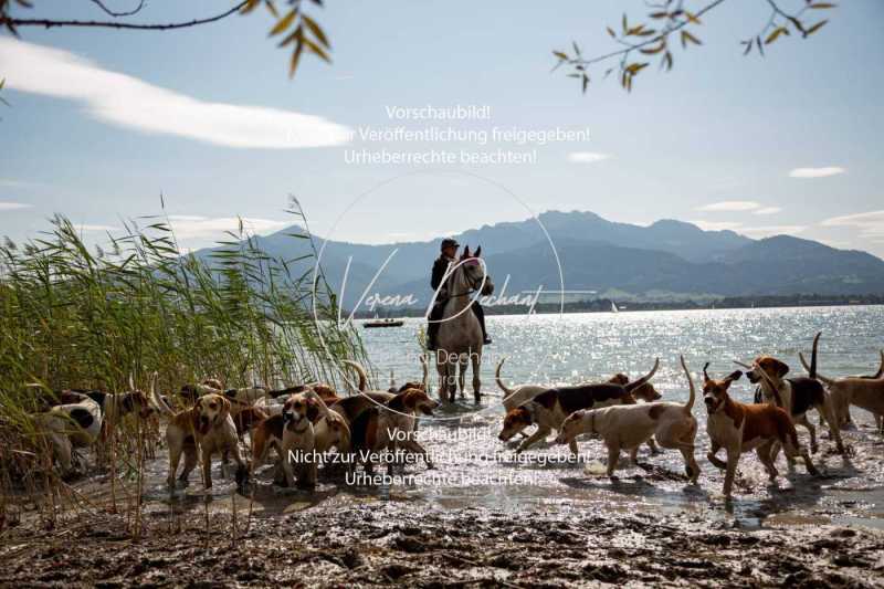 Herrenchiemsee-128