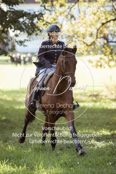 Herrenchiemsee-308