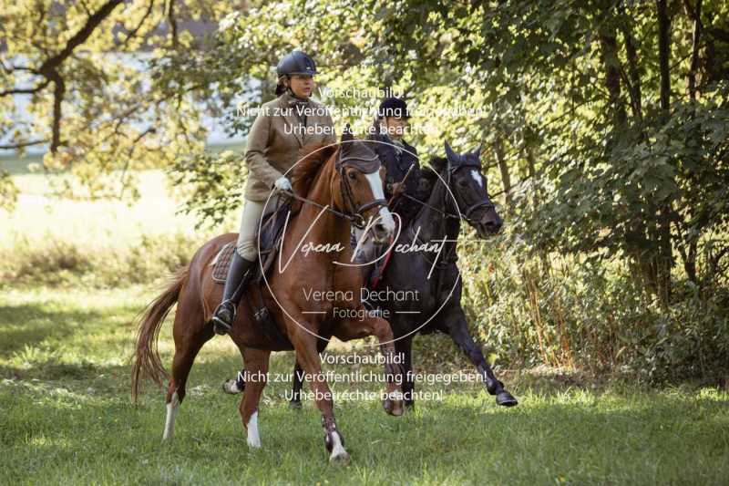 Herrenchiemsee-314
