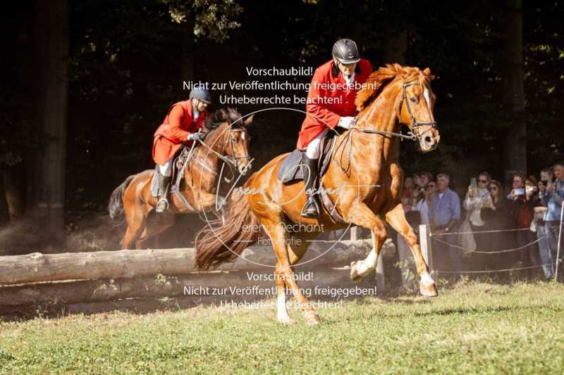Herrenchiemsee-614