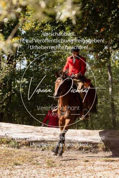 Herrenchiemsee-794