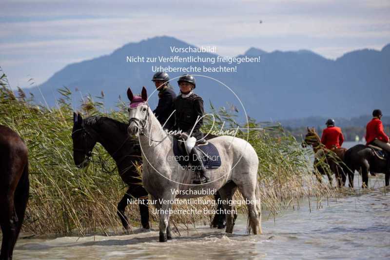 Herrenchiemsee-841