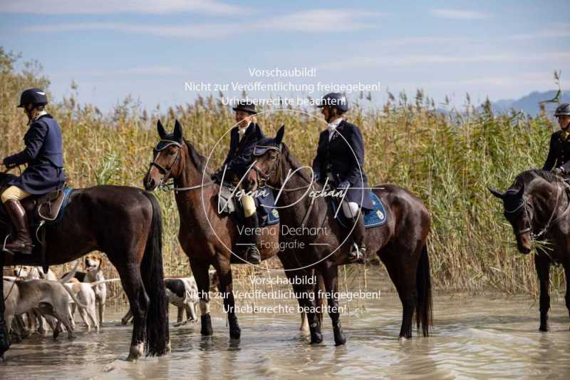 Herrenchiemsee-874