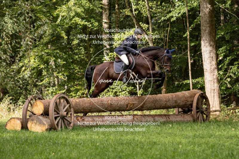 Herrenchiemsee-970