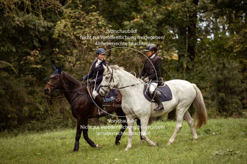 Schleppjagd_Herrenchiemsee-001 Schleppjagd_Herrenchiemsee-001