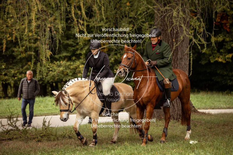 Schleppjagd_Herrenchiemsee-002 Schleppjagd_Herrenchiemsee-002