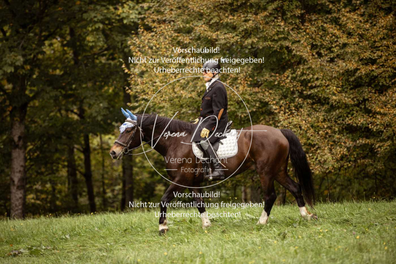 Schleppjagd_Herrenchiemsee-009 Schleppjagd_Herrenchiemsee-009