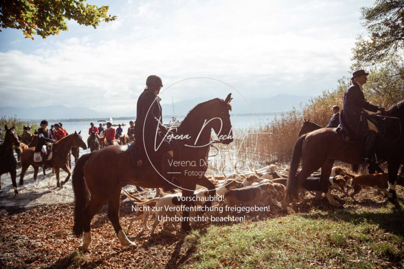 Schleppjagd_Herrenchiemsee-010-2 Schleppjagd_Herrenchiemsee-010-2