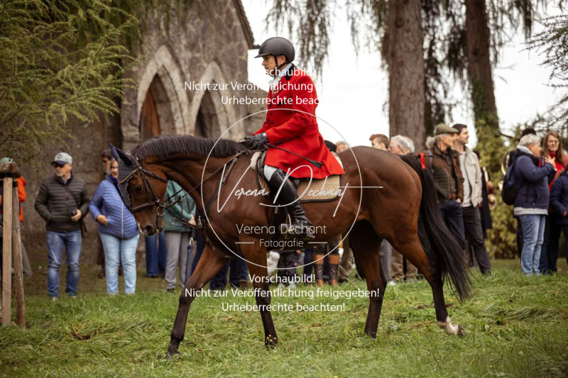 Schleppjagd_Herrenchiemsee-010 Schleppjagd_Herrenchiemsee-010