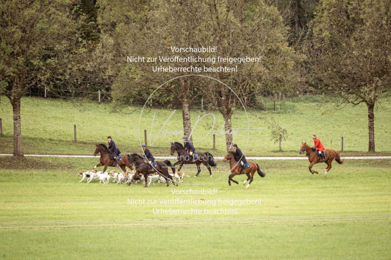 Schleppjagd_Herrenchiemsee-011 Schleppjagd_Herrenchiemsee-011