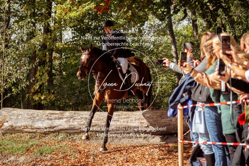 Schleppjagd_Herrenchiemsee-013 Schleppjagd_Herrenchiemsee-013