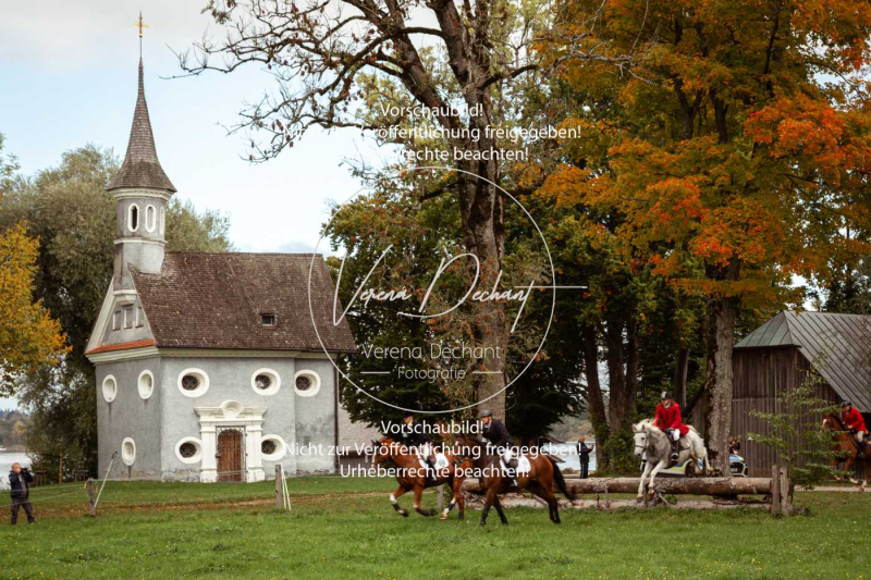 Schleppjagd_Herrenchiemsee-016 Schleppjagd_Herrenchiemsee-016