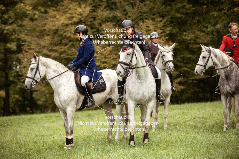 Schleppjagd_Herrenchiemsee-022 Schleppjagd_Herrenchiemsee-022