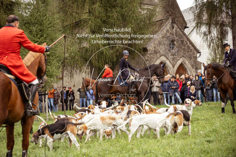 Schleppjagd_Herrenchiemsee-024 Schleppjagd_Herrenchiemsee-024