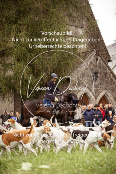 Schleppjagd_Herrenchiemsee-025 Schleppjagd_Herrenchiemsee-025