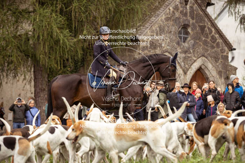 Schleppjagd_Herrenchiemsee-026 Schleppjagd_Herrenchiemsee-026