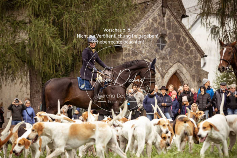 Schleppjagd_Herrenchiemsee-027 Schleppjagd_Herrenchiemsee-027