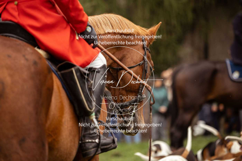 Schleppjagd_Herrenchiemsee-028 Schleppjagd_Herrenchiemsee-028