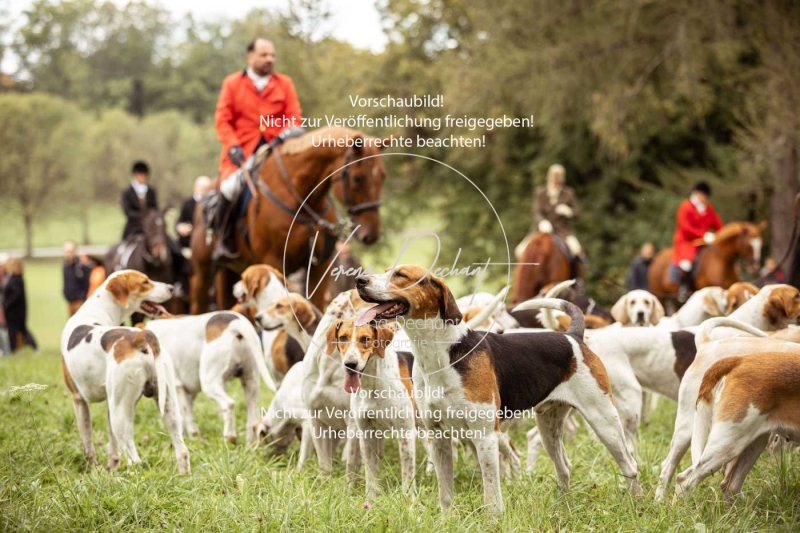 Schleppjagd_Herrenchiemsee-035 Schleppjagd_Herrenchiemsee-035