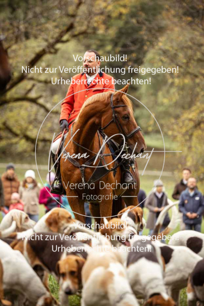 Schleppjagd_Herrenchiemsee-038 Schleppjagd_Herrenchiemsee-038