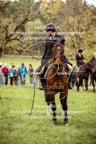 Schleppjagd_Herrenchiemsee-040 Schleppjagd_Herrenchiemsee-040