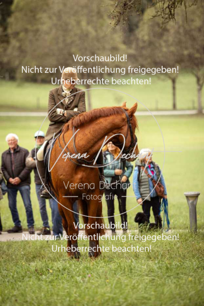 Schleppjagd_Herrenchiemsee-041 Schleppjagd_Herrenchiemsee-041