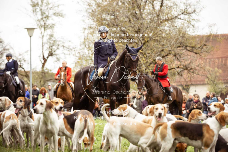 Schleppjagd_Herrenchiemsee-043 Schleppjagd_Herrenchiemsee-043