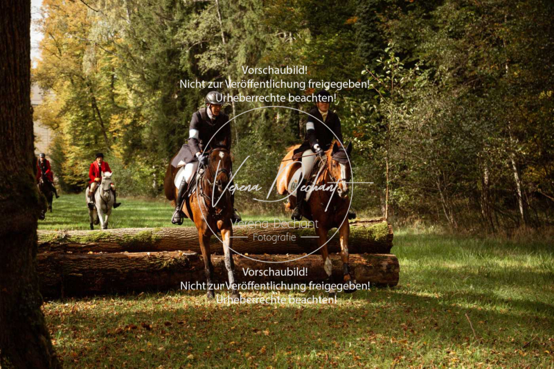 Schleppjagd_Herrenchiemsee-049-2 Schleppjagd_Herrenchiemsee-049-2