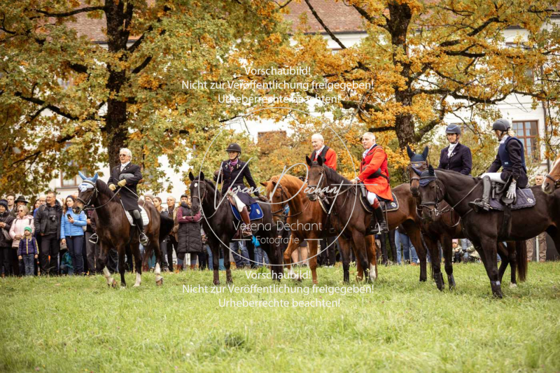 Schleppjagd_Herrenchiemsee-052 Schleppjagd_Herrenchiemsee-052