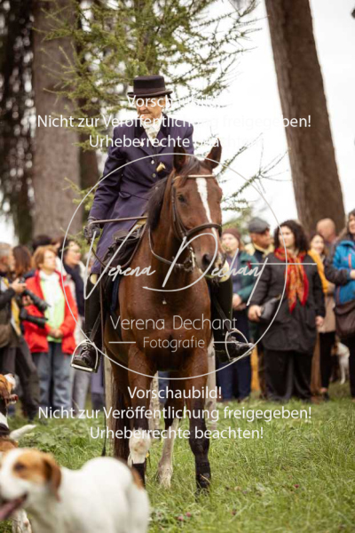 Schleppjagd_Herrenchiemsee-053 Schleppjagd_Herrenchiemsee-053