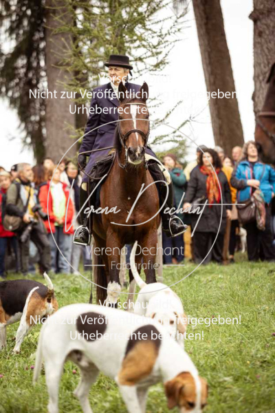 Schleppjagd_Herrenchiemsee-055 Schleppjagd_Herrenchiemsee-055