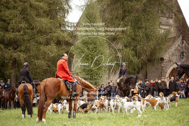 Schleppjagd_Herrenchiemsee-057 Schleppjagd_Herrenchiemsee-057