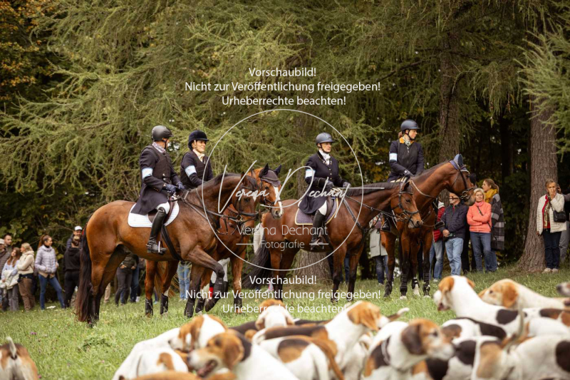 Schleppjagd_Herrenchiemsee-062 Schleppjagd_Herrenchiemsee-062