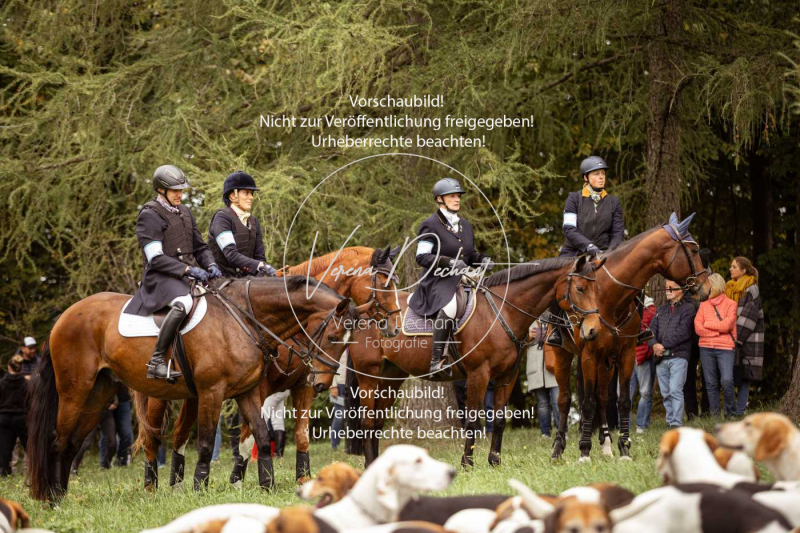 Schleppjagd_Herrenchiemsee-063 Schleppjagd_Herrenchiemsee-063