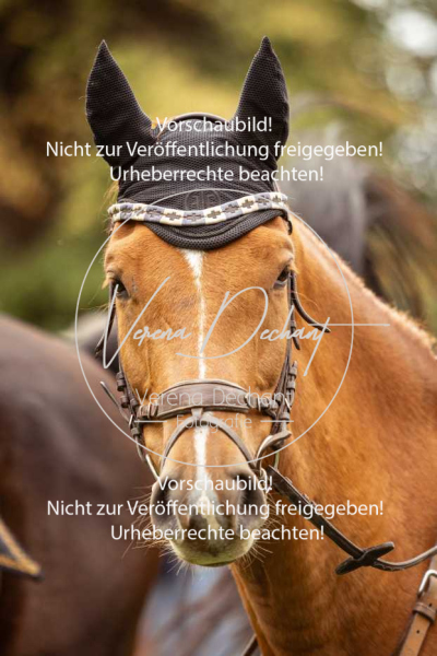 Schleppjagd_Herrenchiemsee-068 Schleppjagd_Herrenchiemsee-068