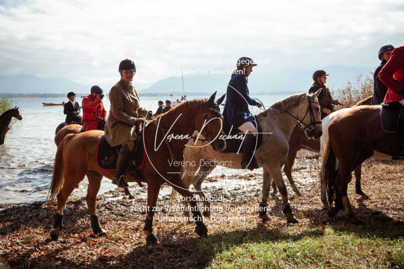 Schleppjagd_Herrenchiemsee-074 Schleppjagd_Herrenchiemsee-074