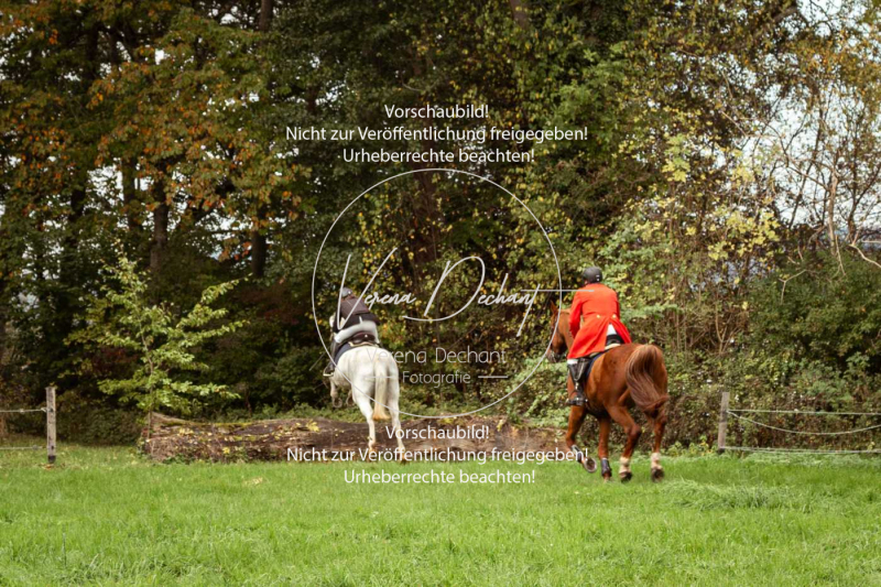 Schleppjagd_Herrenchiemsee-077-2 Schleppjagd_Herrenchiemsee-077-2