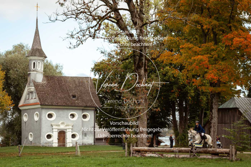 Schleppjagd_Herrenchiemsee-079-2 Schleppjagd_Herrenchiemsee-079-2