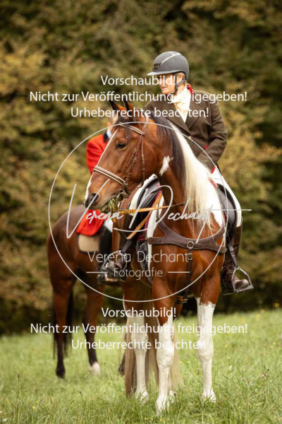 Schleppjagd_Herrenchiemsee-080 Schleppjagd_Herrenchiemsee-080