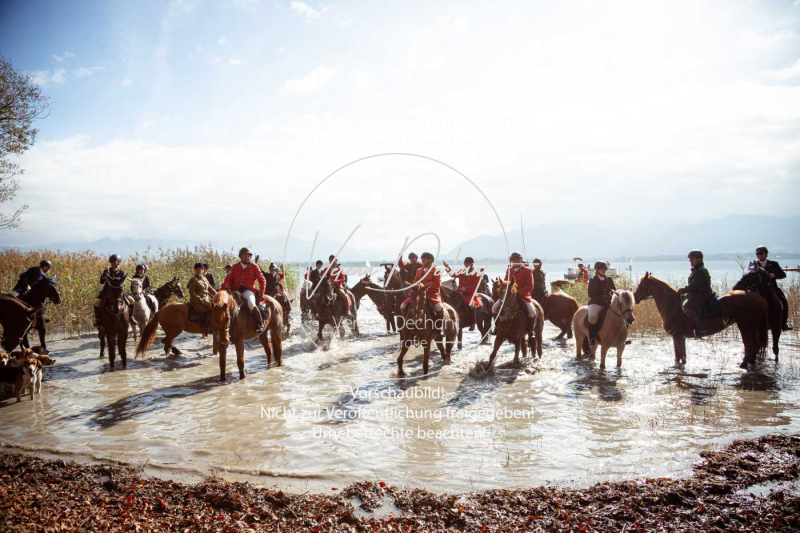 Schleppjagd_Herrenchiemsee-087-2 Schleppjagd_Herrenchiemsee-087-2