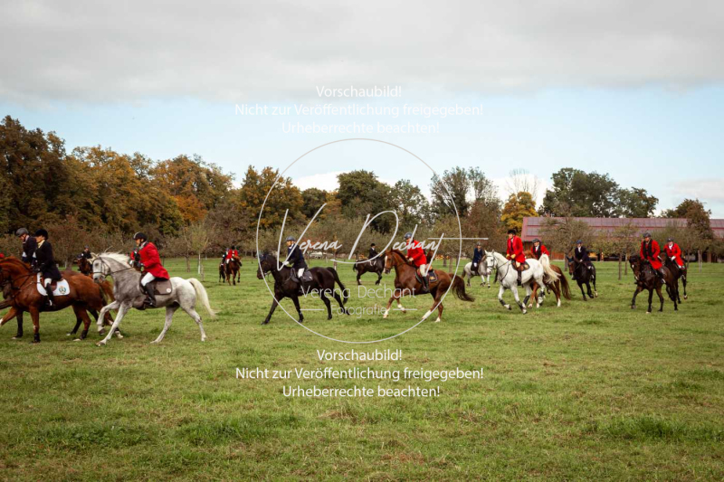 Schleppjagd_Herrenchiemsee-092-2 Schleppjagd_Herrenchiemsee-092-2
