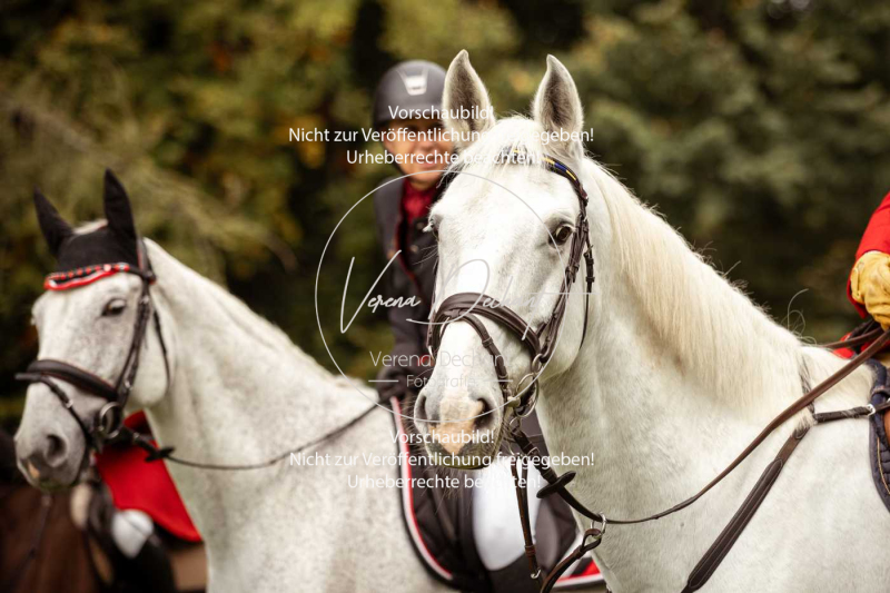 Schleppjagd_Herrenchiemsee-093 Schleppjagd_Herrenchiemsee-093