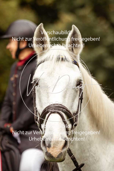 Schleppjagd_Herrenchiemsee-094 Schleppjagd_Herrenchiemsee-094