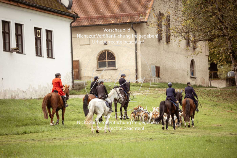 Schleppjagd_Herrenchiemsee-095 Schleppjagd_Herrenchiemsee-095