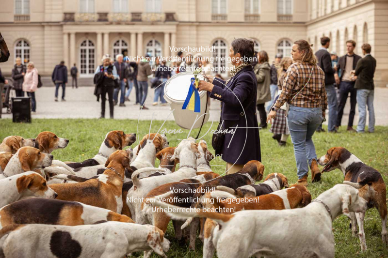 Schleppjagd_Herrenchiemsee-1004 Schleppjagd_Herrenchiemsee-1004