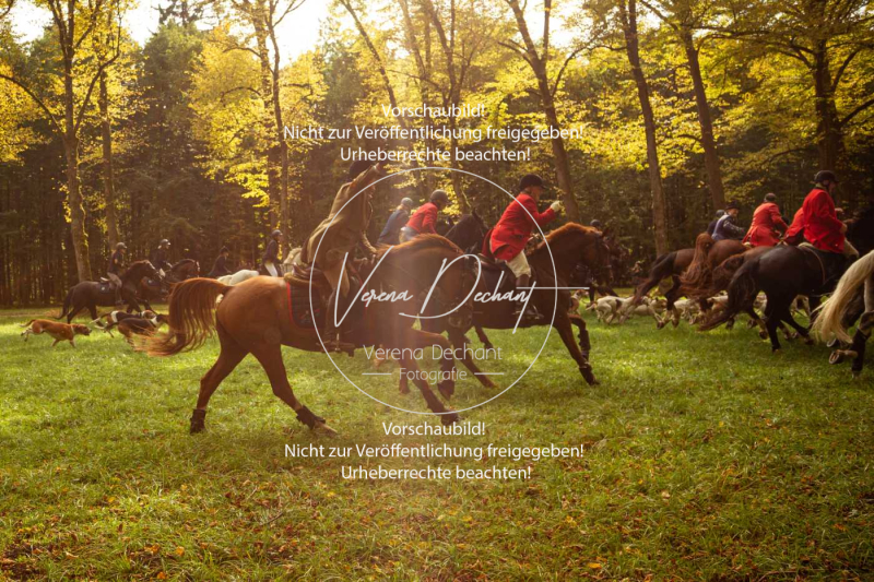 Schleppjagd_Herrenchiemsee-107-2 Schleppjagd_Herrenchiemsee-107-2